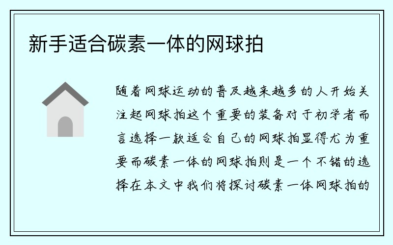 新手适合碳素一体的网球拍