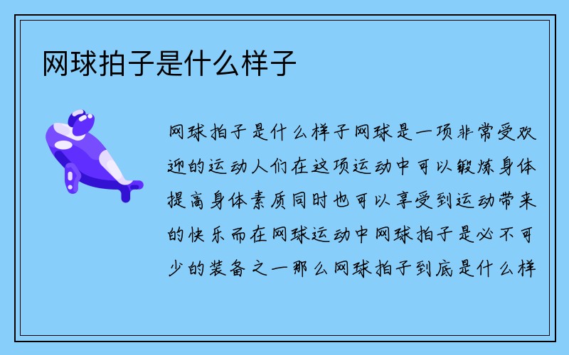 网球拍子是什么样子