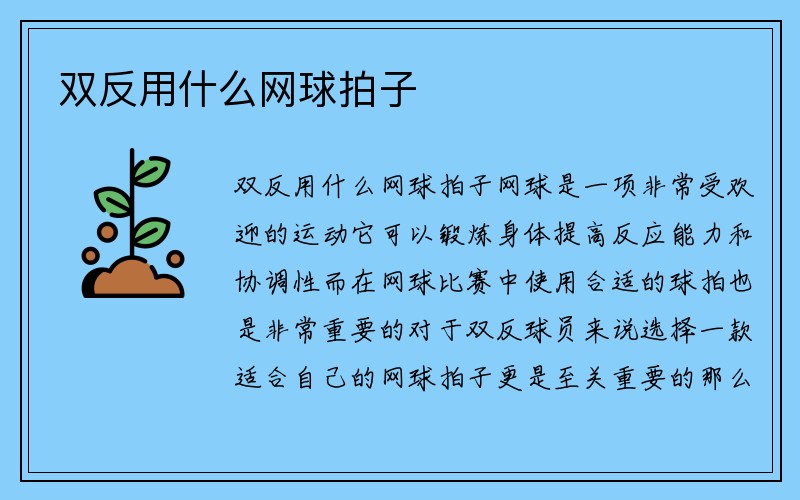 双反用什么网球拍子